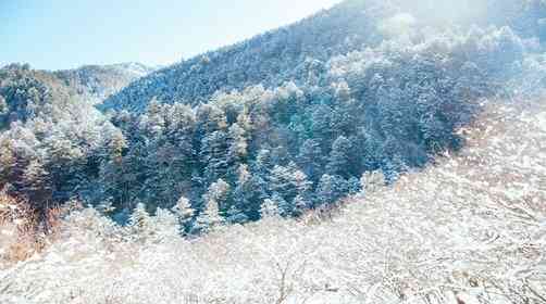 邓生沟在哪里？成都周边一日游邓生沟徒步沿途风景如何？