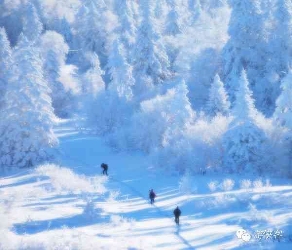 雪乡·雪谷·雪村·雪岭，东北雪景哪里最美？