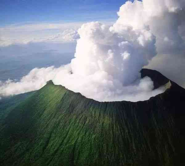 在卢旺达看火山看猩猩