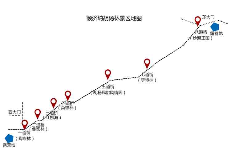 在额济纳旗哪里可以露营？