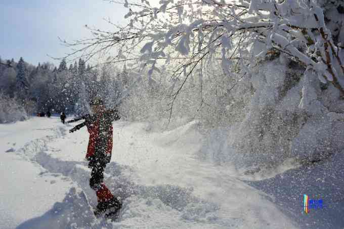 冬季拍雪哪里好？东北长白有雪岭