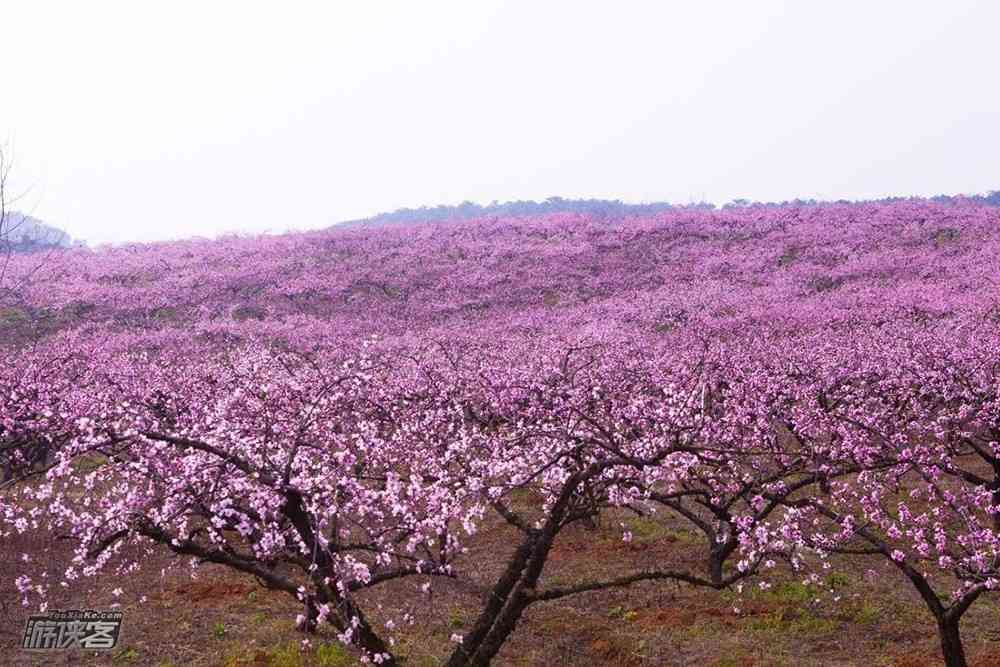 湖北有什么旅游景点，哪里最值得去