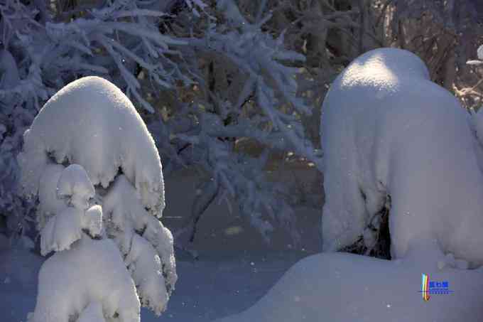 冬季拍雪哪里好？东北长白有雪岭