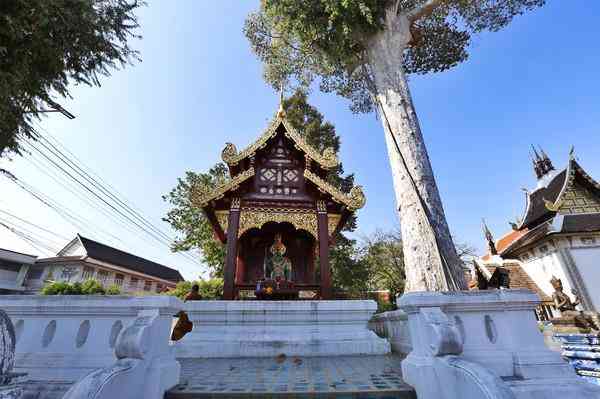 清迈最大寺庙契迪龙寺游玩攻略