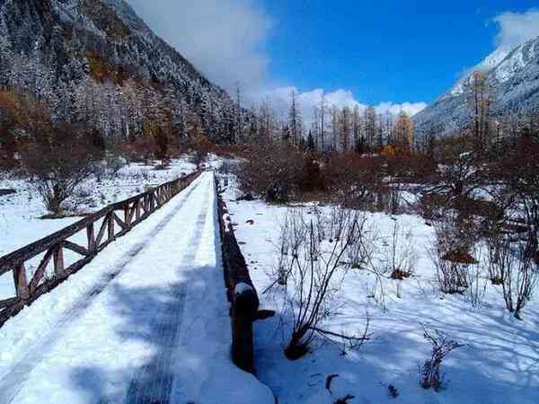 成都附近2小时，西南最大的雪山花海观赏地！