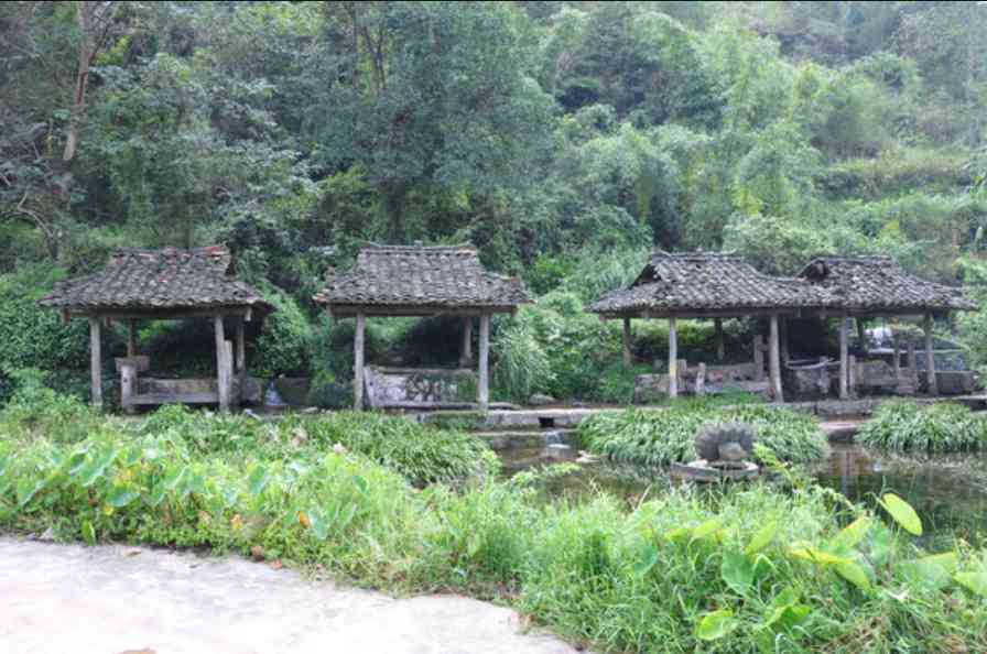 茂兰景区好玩吗？茂兰风景区游玩注意事项