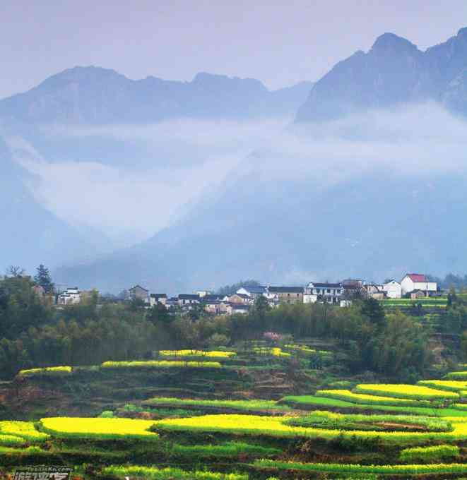 皖南最大的油菜花海观景台，你知道在哪里吗？