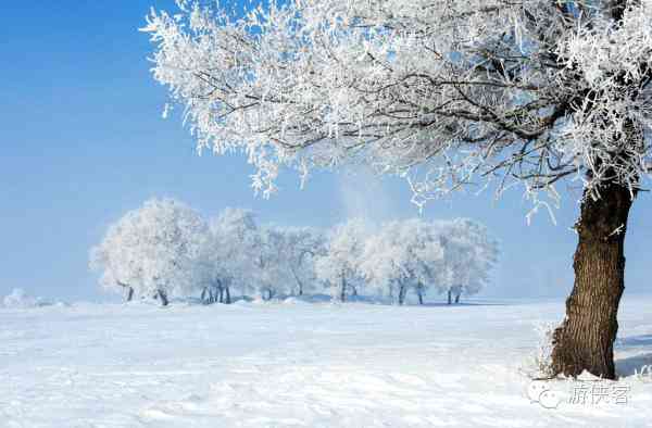 雪乡·雪谷·雪村·雪岭，东北雪景哪里最美？