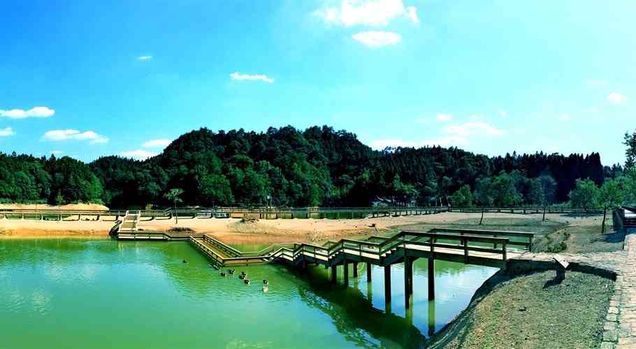 包艘游艇，看龙川湾的野鸭子