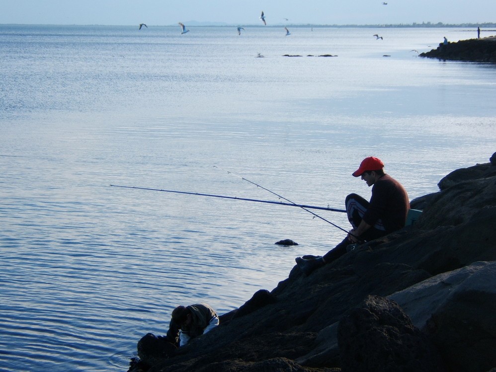 williamstown beach