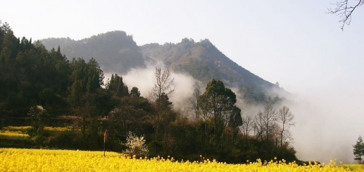 二酉山