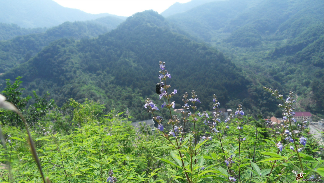 九山顶自然风景区