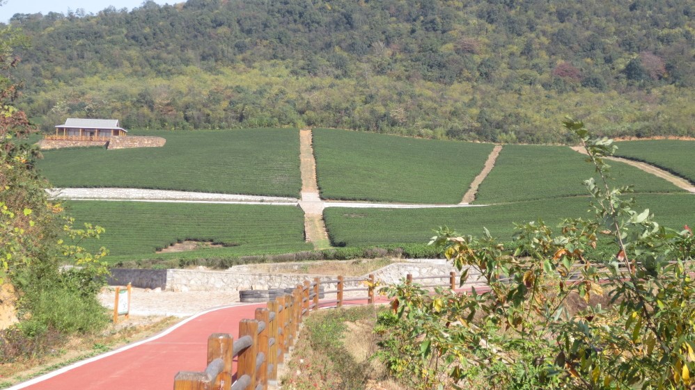 龙池山自行车公园