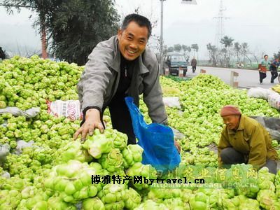 大邑榨菜