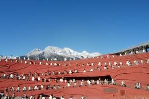 丽江自由行旅游用什么餐_吃什么饭}北京去丽江4晚5日自由行