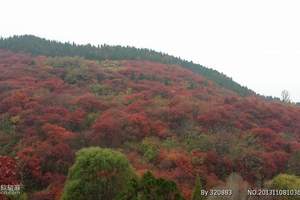 广元到光雾山大坝2.5日游（红叶之旅）