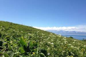 青岛到新疆旅游_到乌鲁木齐旅游，天山明珠-天池风景等5日游