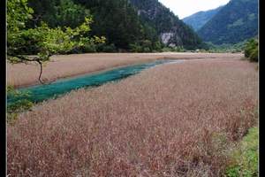 扬州到成都 九寨沟 黄龙双飞6日游