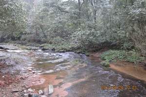 北京去江西旅游性价比高的线路行程_婺源、三清山、景德镇五日游