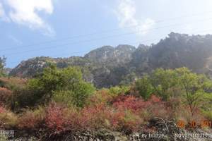 庐山一日游-人文圣山、如醉美景（加游石门涧景区）